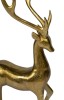 Gold line Jeleń 1A