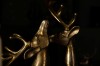 CMAA9352B_Gold_line_jelen_2A_2B.jpg